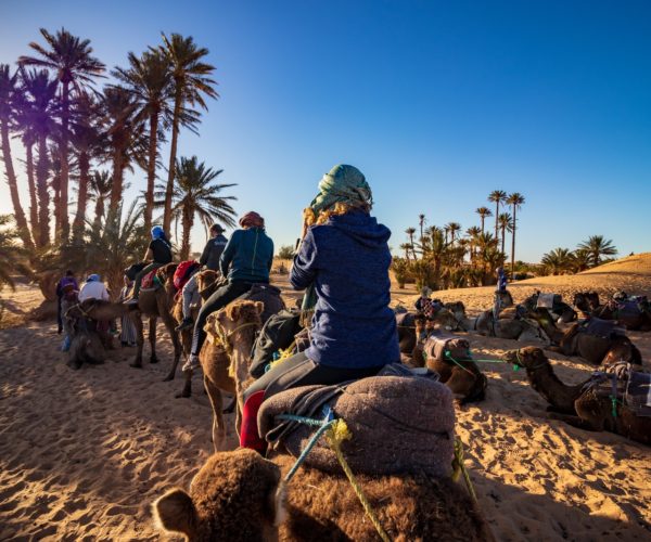 Photo by Tomáš Malík four person ride on camel